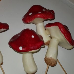 Svamp – flugsvamp – pyssel dekorera m.m.